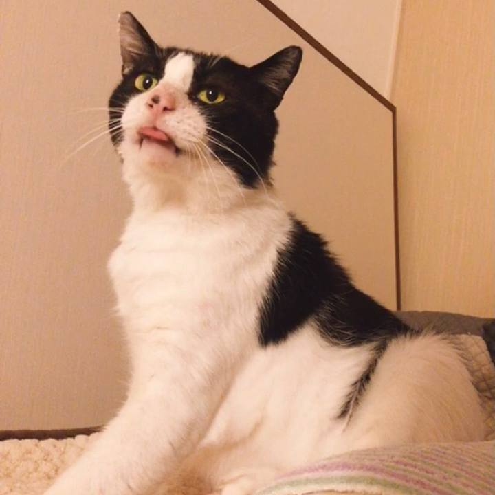 241ab7a6 d810 426c ac19 d76a7731fdcf 1636167028007