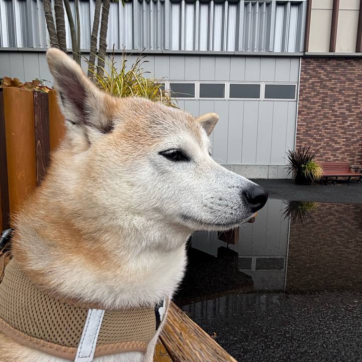 241ac85a 6f40 4ede 8bca 00e93899f9d9 1748466122471