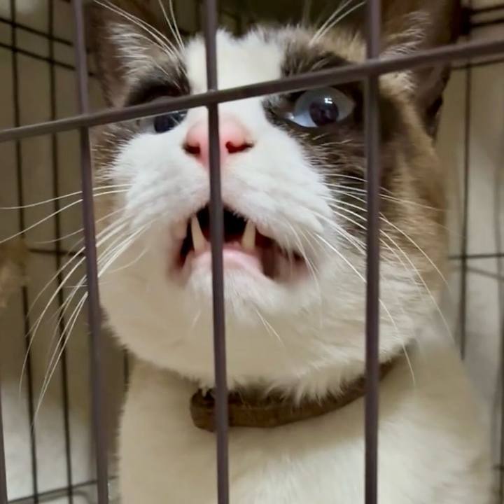 241ae2ae 3dd1 4848 bedd 4dbd7bfaa471 1767354250987