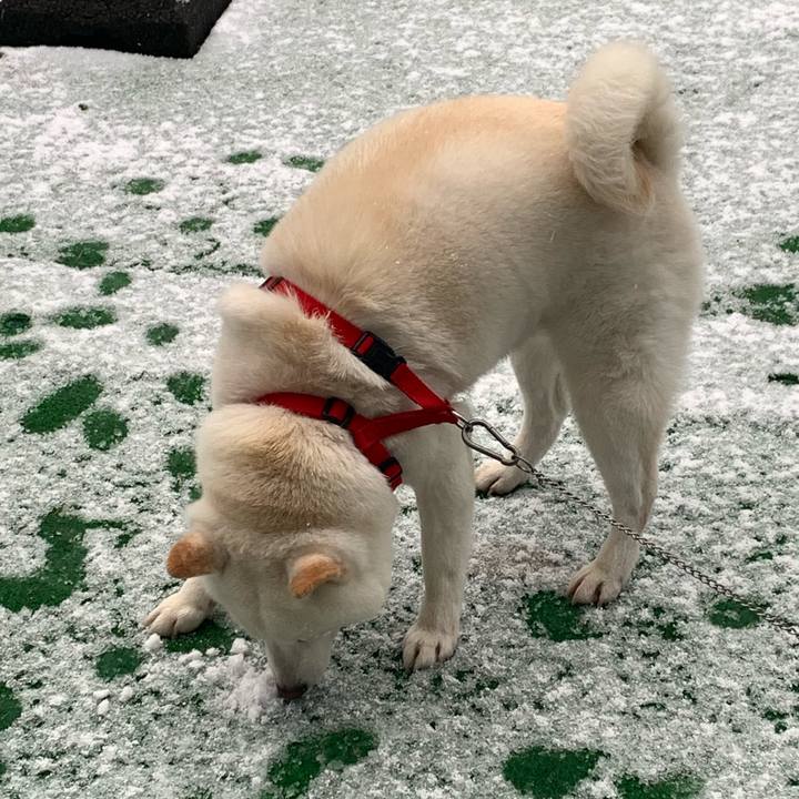 241af80d eeb4 4fbf 83e5 e5811673d27f 1606085648335