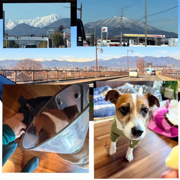 241b2e19 d5a9 4e1d 812f da78ce0b59bd 1766977918020