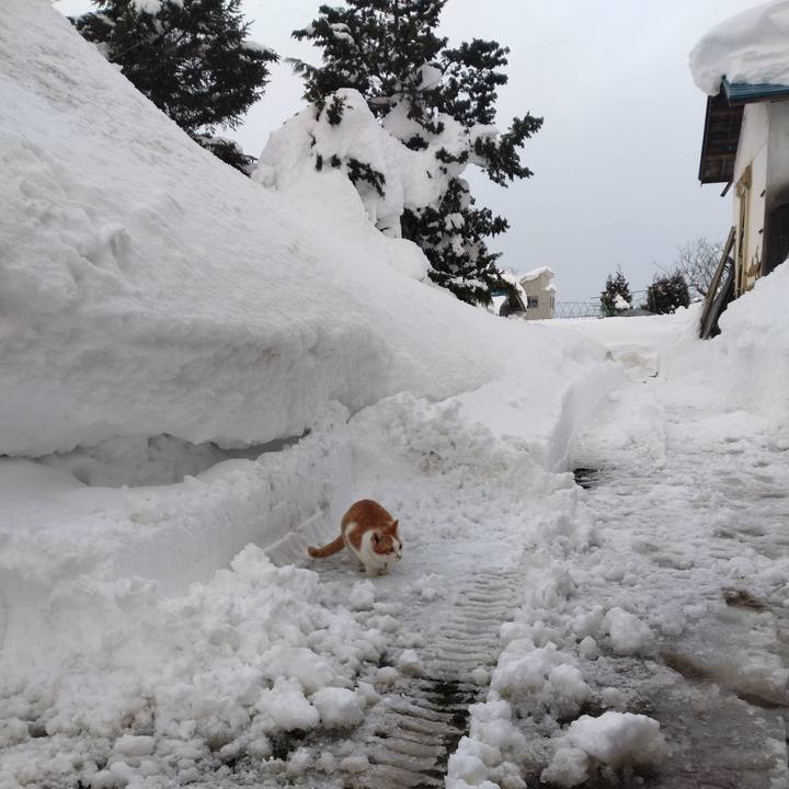 241b3027 9378 457a 94a7 02973a5dc206 1739175786916