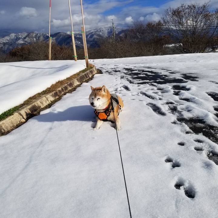 241b34a0 ebf8 48ee 996e 182615a60213 1733808218222