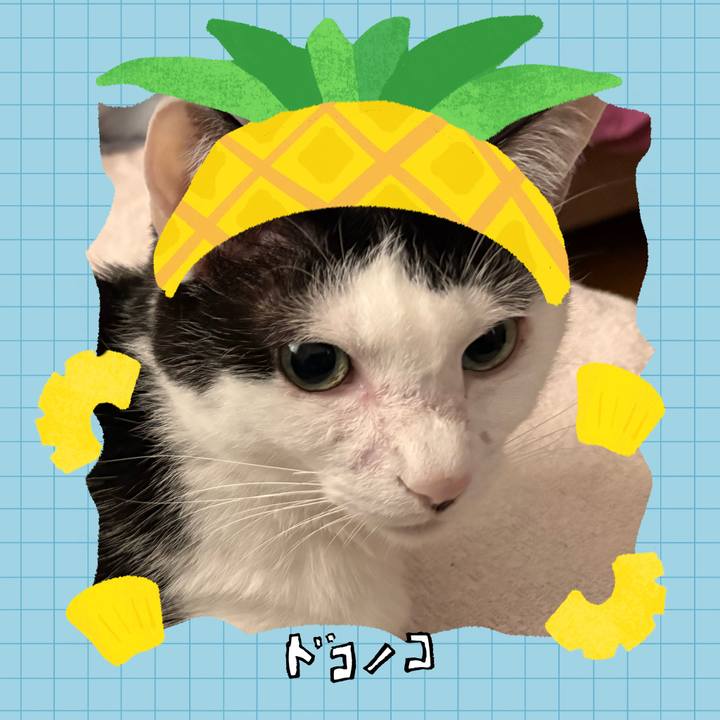 241b3be1 3d04 4642 b332 54b09300bf44 1783496411735
