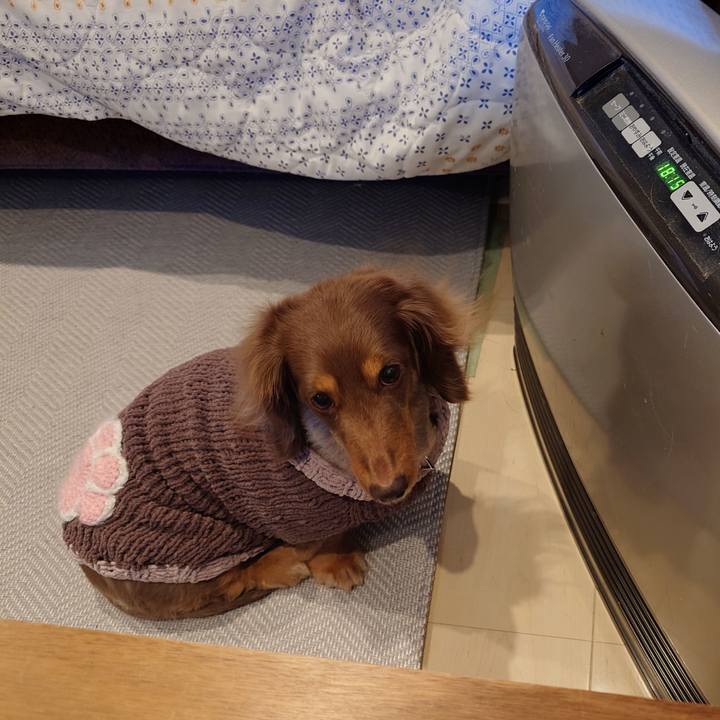 241b3cb5 ef99 457e ab98 ff0690dab726 1736992158752