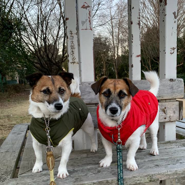 241b4c54 2219 4e27 a6b2 1fffd35633cd 1581031720989