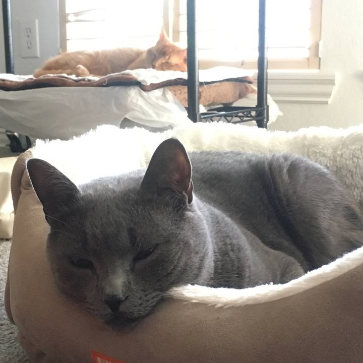 241b66a4 31bd 4768 8125 a86906c6c013 1694048175189