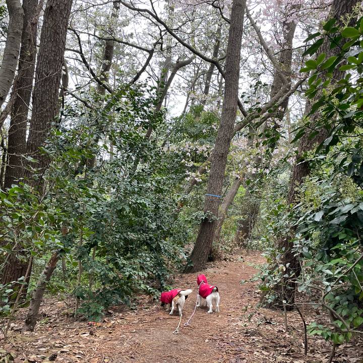 241b73da 7cd2 43cd b3a8 ffe71a1c1b75 1680823428748