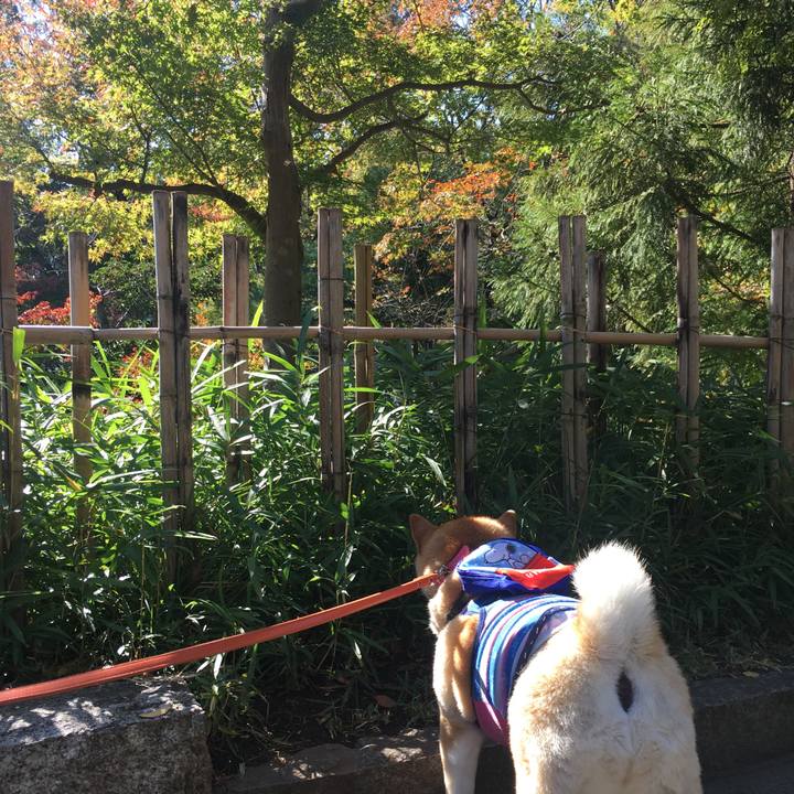 241b75c0 9af6 4696 a82c 537d2366eae0 1573197367837