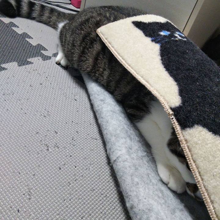 241b8d81 1114 41e2 bd0d 03132c53230a 1626390206033