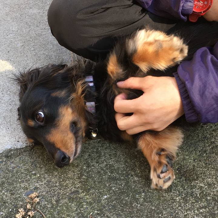 241b9e90 75df 4da2 846b 1dbbe58bdc4a 1513127330917