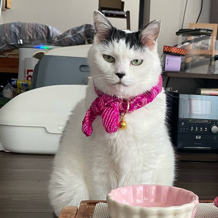 241bc684 6267 4c2a 8b01 4de55b6b708b 1766792685614