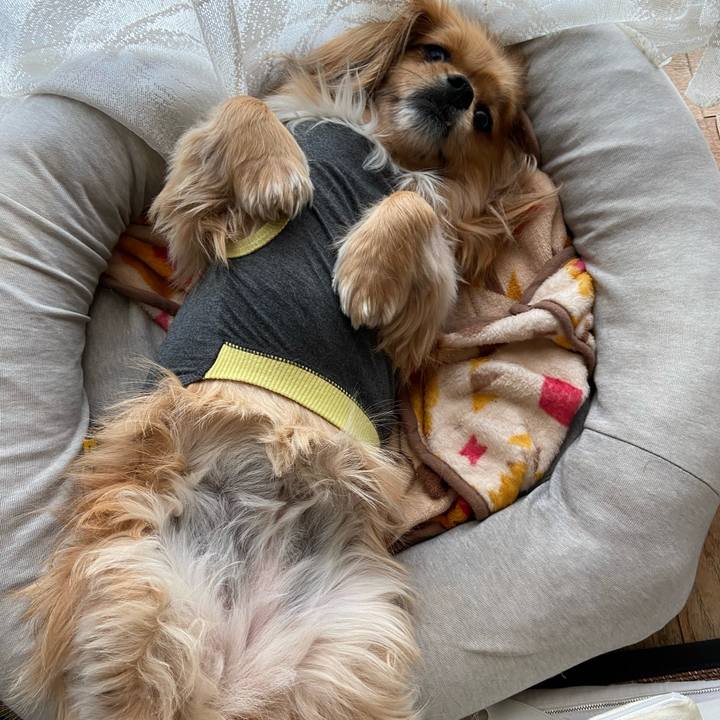 241c28ad 7fcf 4e5b bf32 b0b3e145efbd 1619041150907