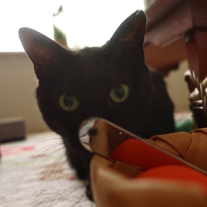 241c8cd7 c93a 4ee4 a79a 601e38fc8ca7 1561130854332