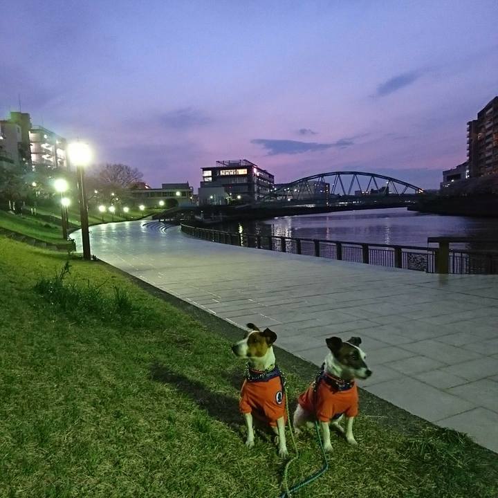 241c9530 6a7c 425b 8c4f 246f801e62ee 1585912923627