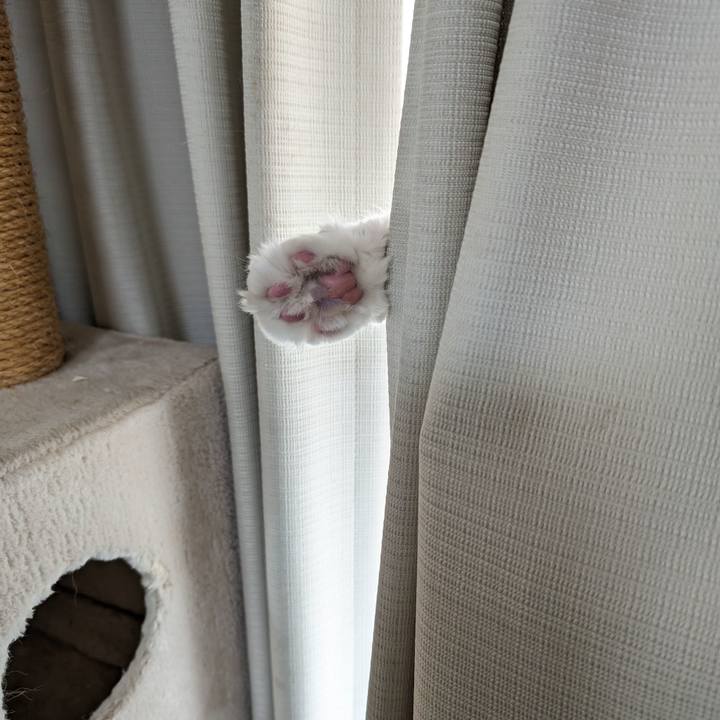 241ce33d 2515 4c4a b06a 7968447b2de6 1703123099431