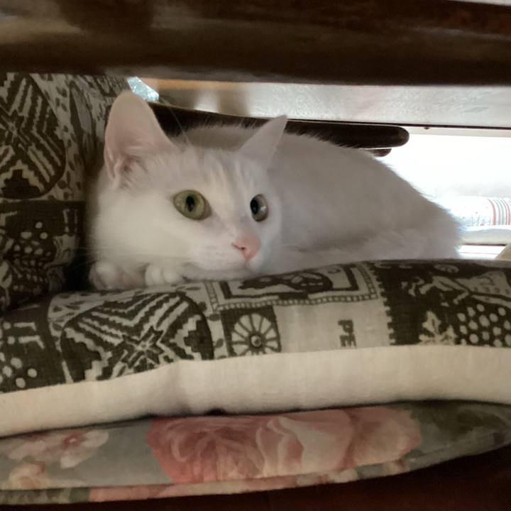 241cf130 9628 4580 baf9 cfb0816a631e 1665750540351