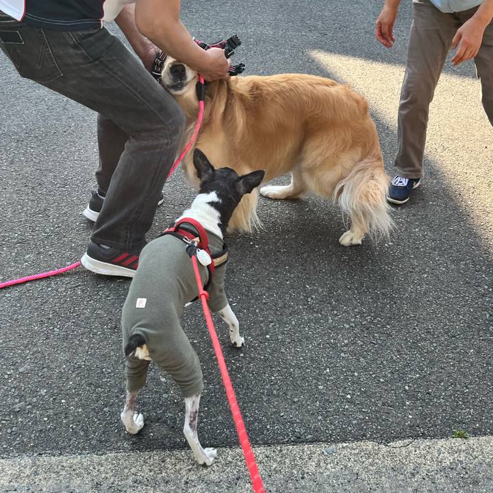 241d0952 0b07 43b1 9c48 8c017f97ed6f 1653693565159