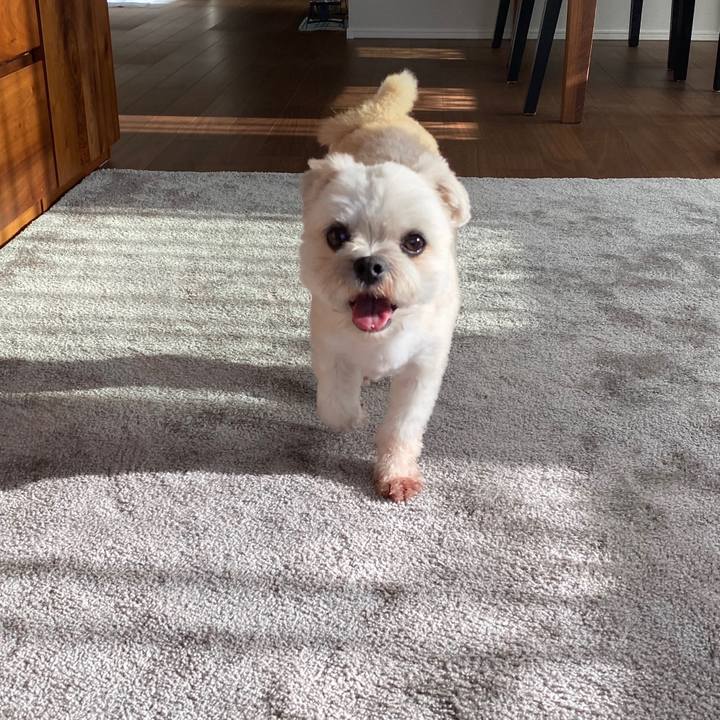 241d14de 2d01 424d 9988 65fc77893046 1600169665672