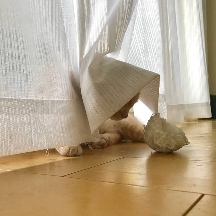 241d3151 b9c1 4a85 9198 d5c2ac5e7b19 1519728034269