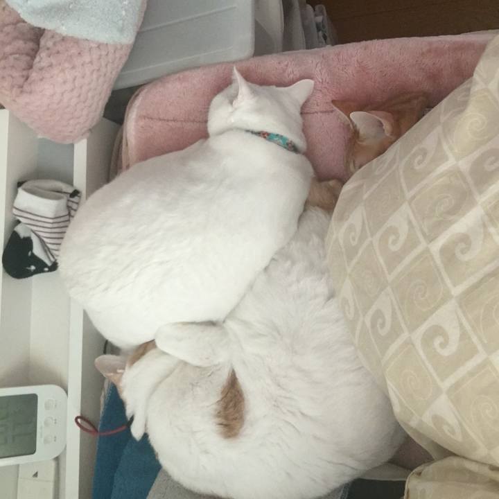 241d7b4f 2188 4498 aa1d 52ba0e1a5967 1543104061558