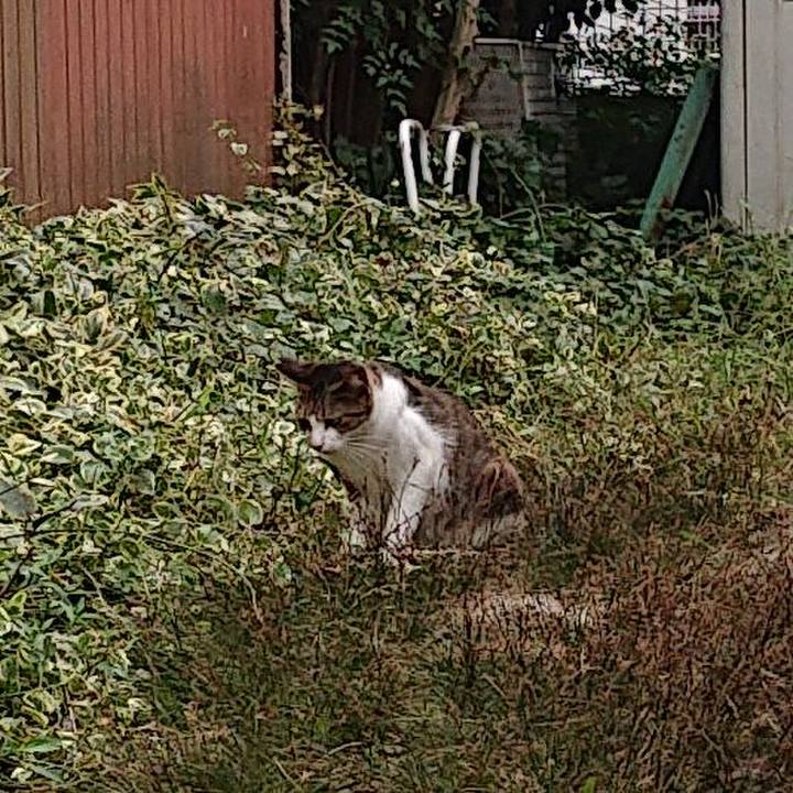 241da80e 5789 4787 aa10 b14f9cf948ed 1663381011676