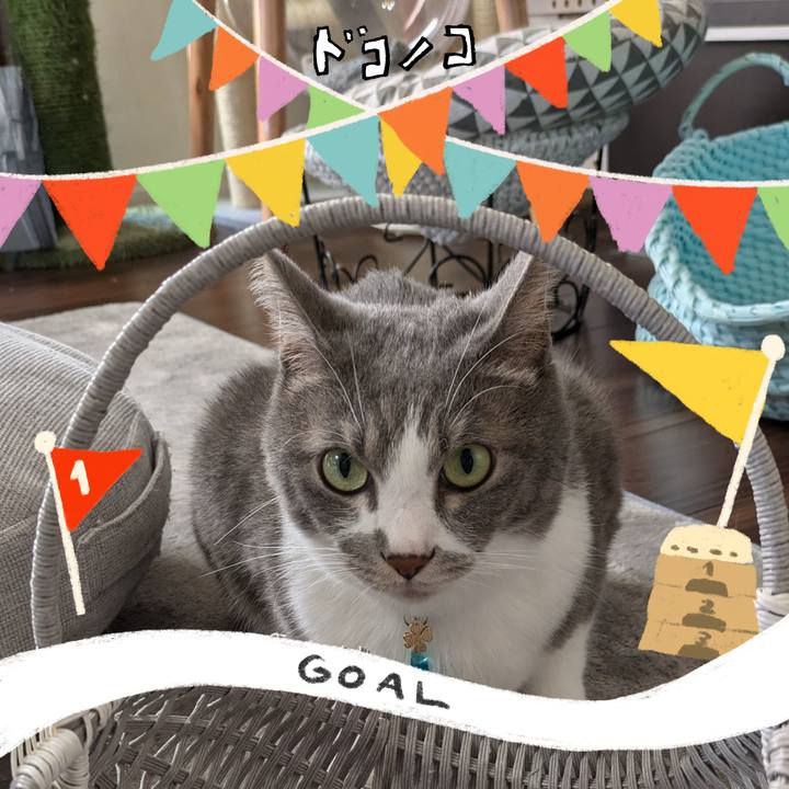 241ddd07 c301 4bf1 86d7 9671f4e33258 1729262053903