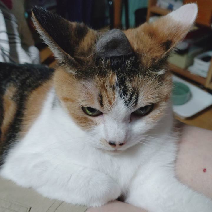 241e1297 17b2 48ec b321 1c1647ec7264 1690373135368