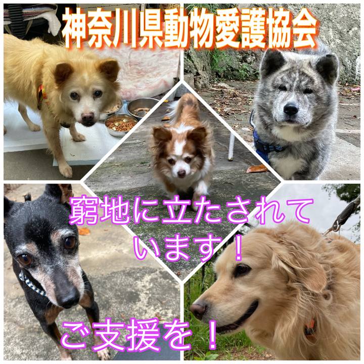 241e1b8b fe4b 47c2 ae09 659999e4e7a4 1684999660204