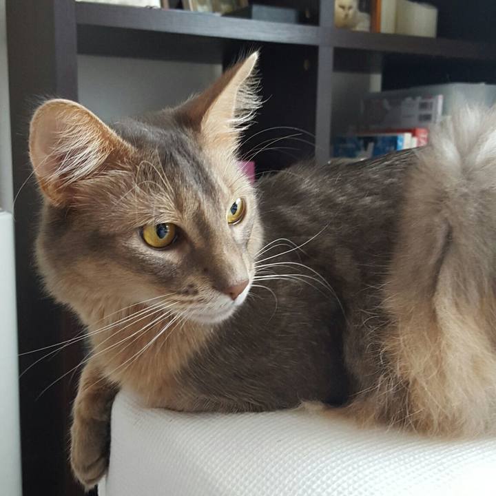 241e4681 9d8a 4b22 aa1e b915f5aa6c2b 1529984194271