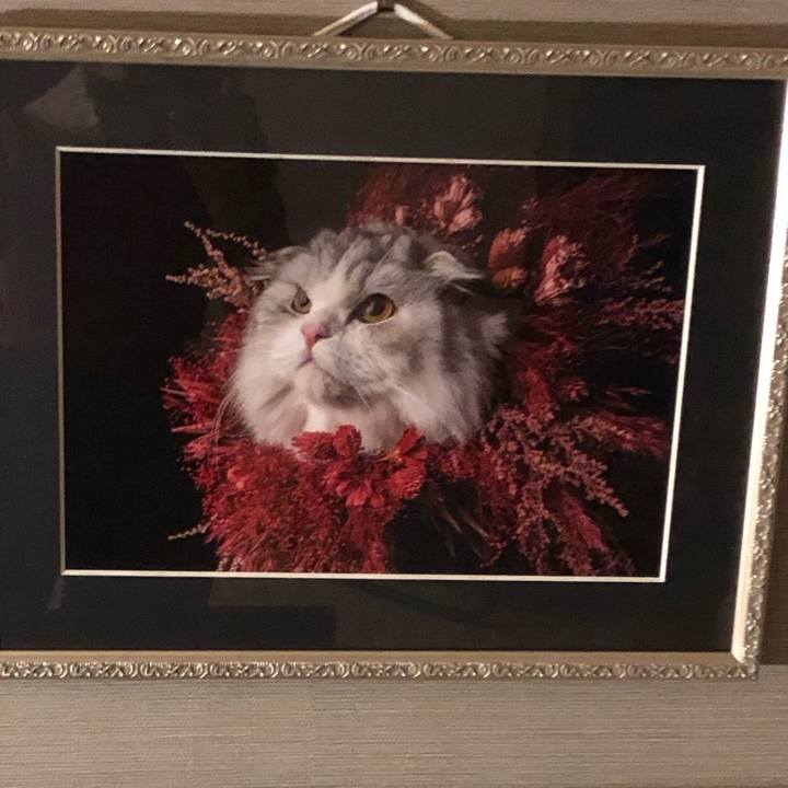 241e57fe c6fb 45d4 9854 e46a1102f9e6 1678533731370