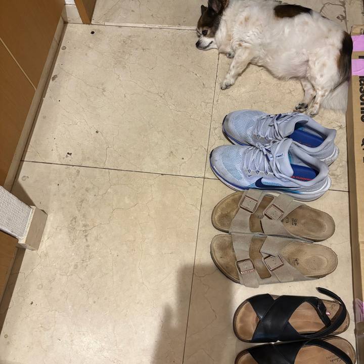 241e639b c46e 418e b32e ef098f2780eb 1751931509177