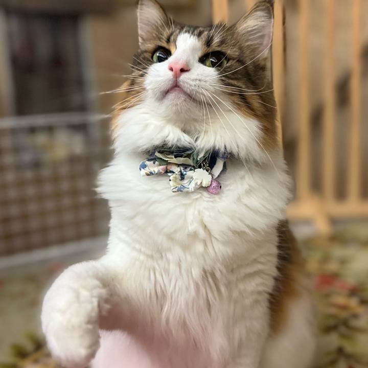 241e7530 5334 4b5f a35e 7665befca0cd 1762924895103