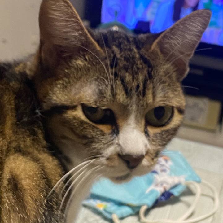 241e8268 8014 4bb6 92c0 651b3a60f926 1608477751340