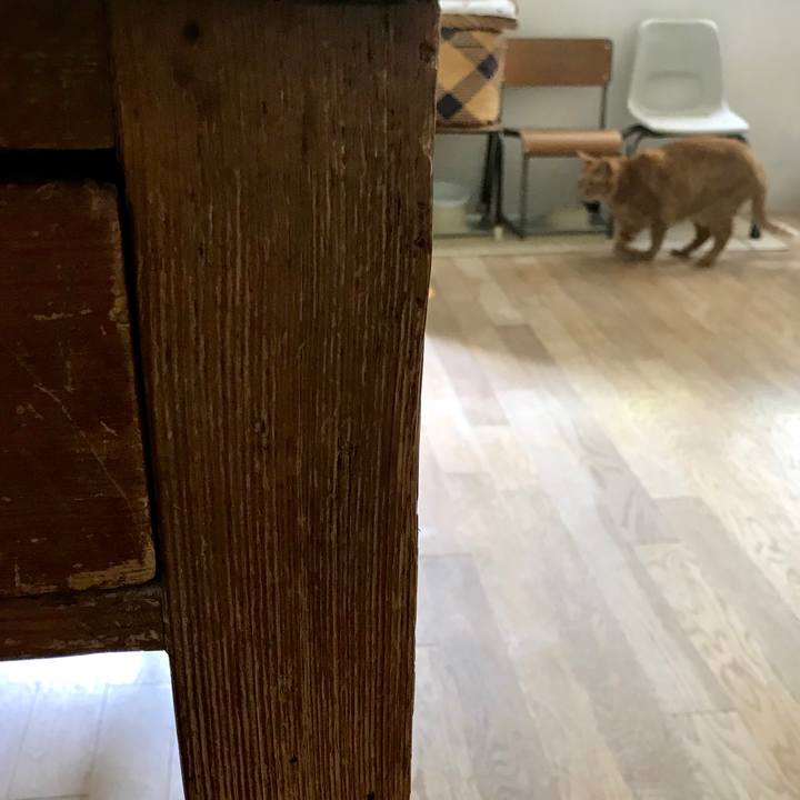 241e8737 99e6 43b2 98e2 eb97b77fd926 1557456834649