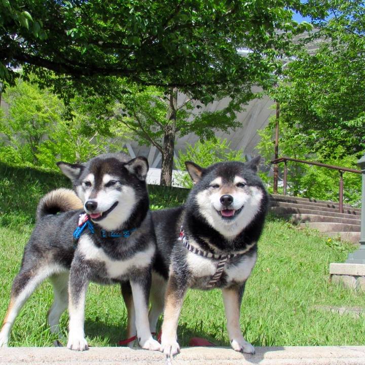 241e8af1 8c67 4fd0 8b3e c7d949ae9509 1621470571467