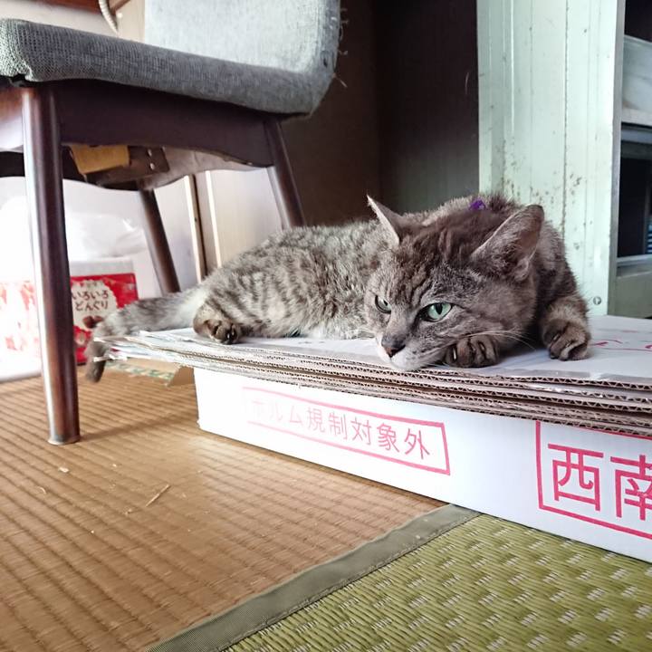 241edf5a f473 4a5f 8d66 62bfdf9e718f 1596603411281