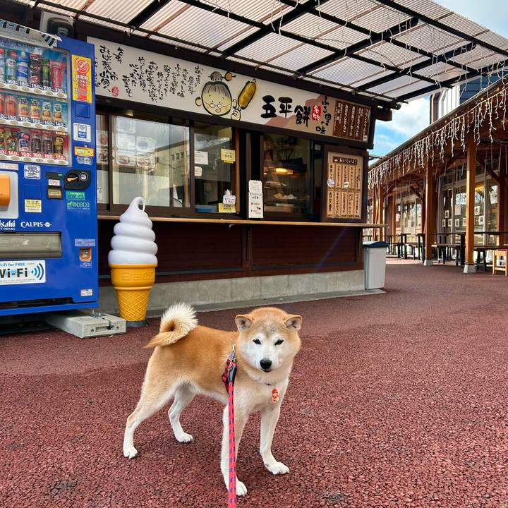 241f06b6 df82 4037 ae9e b19c75114cff 1735124899220