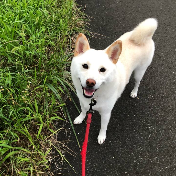 241f09c2 7289 42d3 adcb da885106bd1b 1565521049258