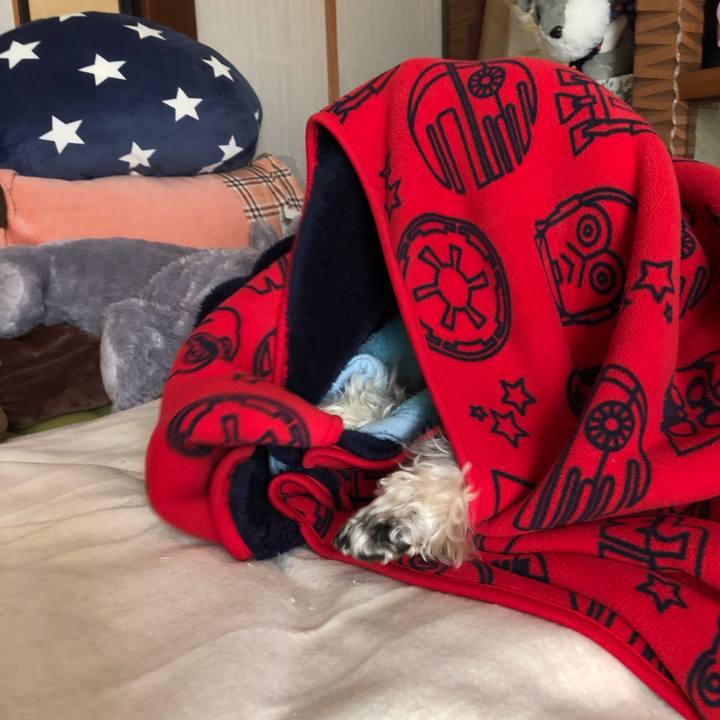 241f29d1 fe43 4fc0 830e 3db060297033 1644557456136