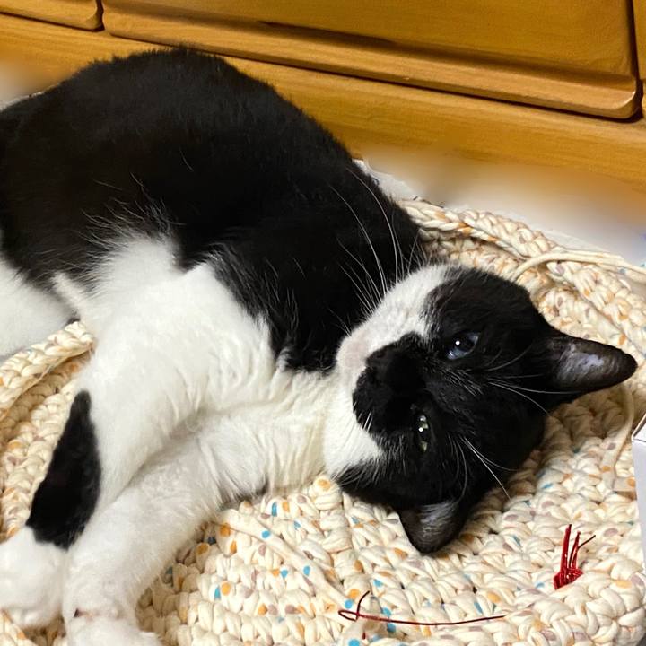 241f2cda 6c41 4b6c 873f f4c43e1bcbeb 1627745267714