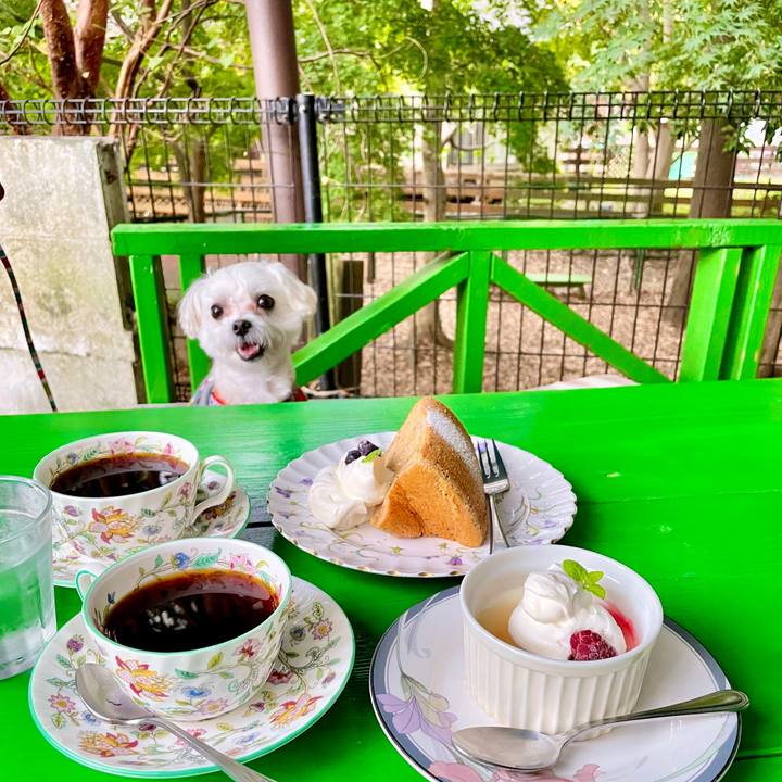 241f40de e586 4e0b b4d7 bbd88de75fd5 1636272067091