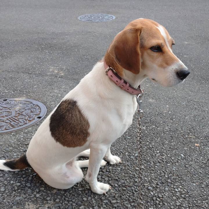 241f43b3 2b4b 4255 af1b 126816286104 1601954509587