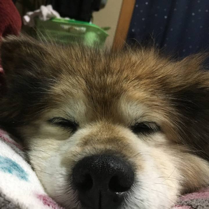 241f5cd5 f2f0 4b7f 86ff 2a29a4d1f9da 1609140874498