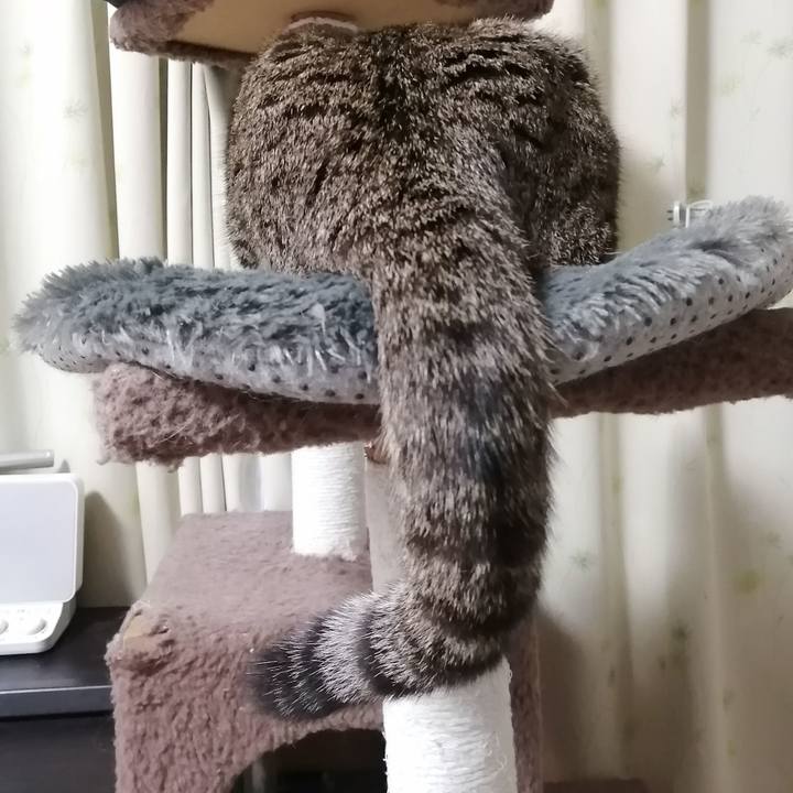 241f6a52 5453 401a a470 c30c61527fe1 1677710138784