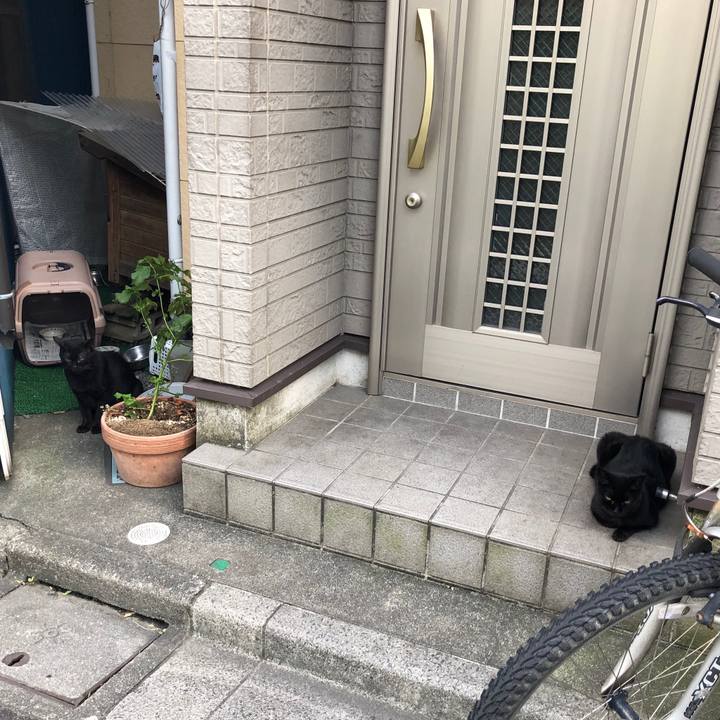 241fd856 bbb3 4eff af6f 586989f7274d 1568465356208