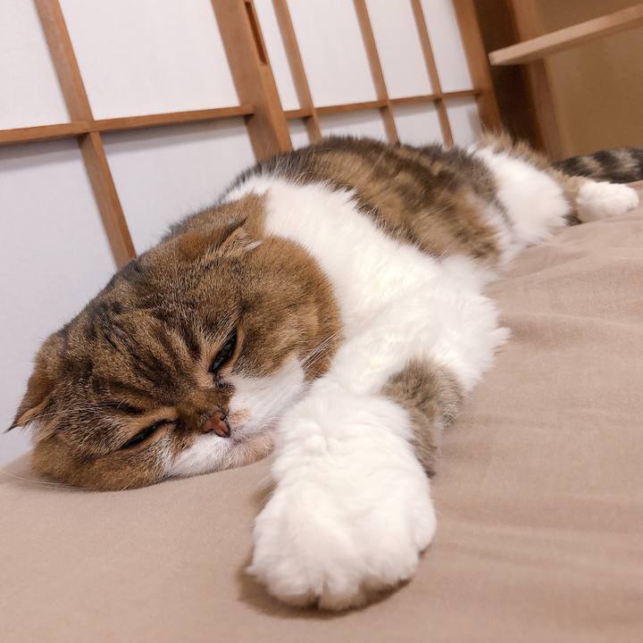 241ff6c3 0bf2 4772 9f67 0db6ecb52f0e 1622378885175