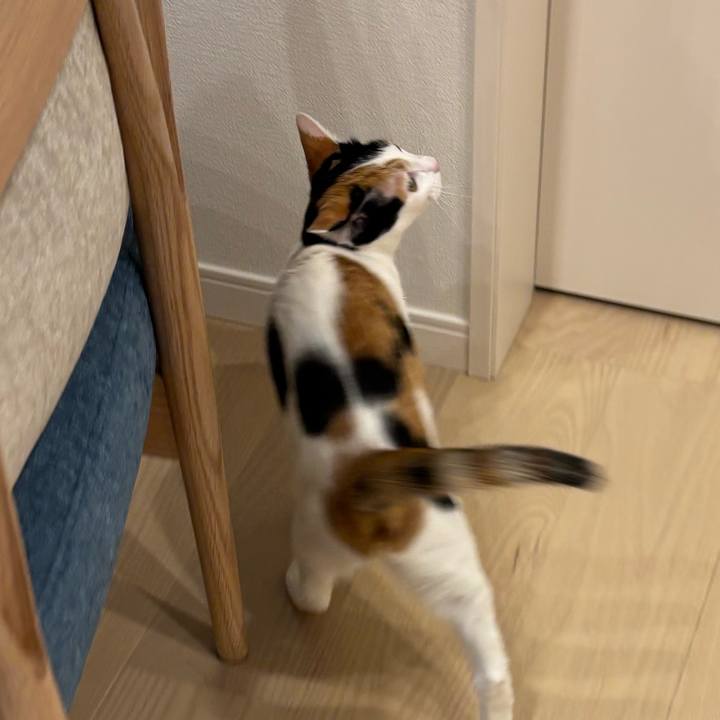 24200dc1 9939 49c9 b43e 53758f529a76 1764950419240