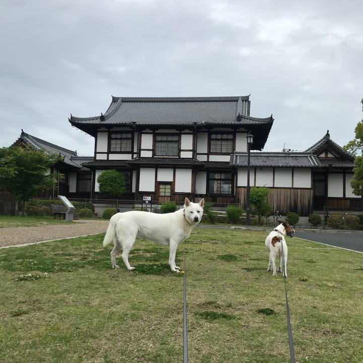 24204b35 941b 4316 8e67 029330081a6b 1526171429979