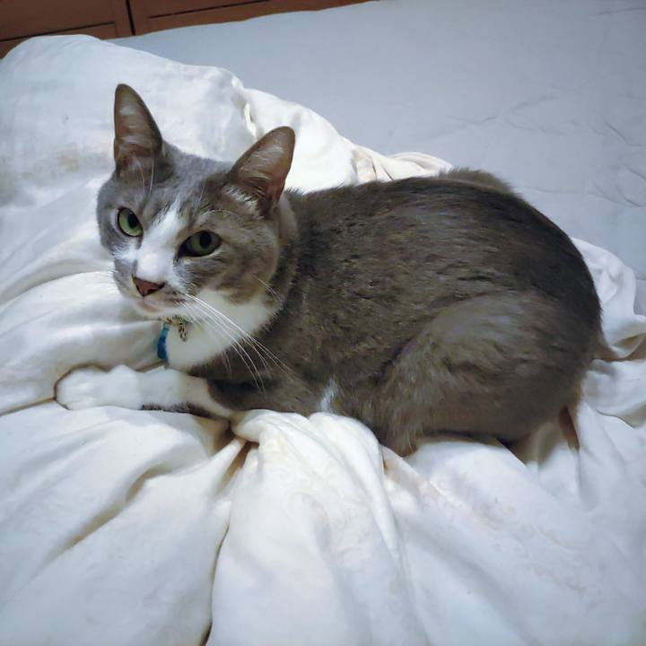 242060af d2fe 4397 bd4c 9b350decfaae 1697370338819